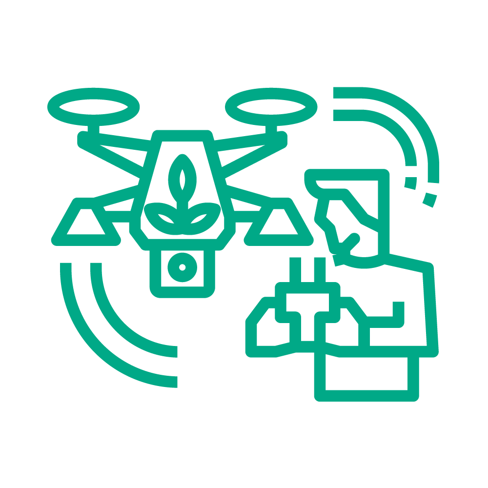 icon 6
