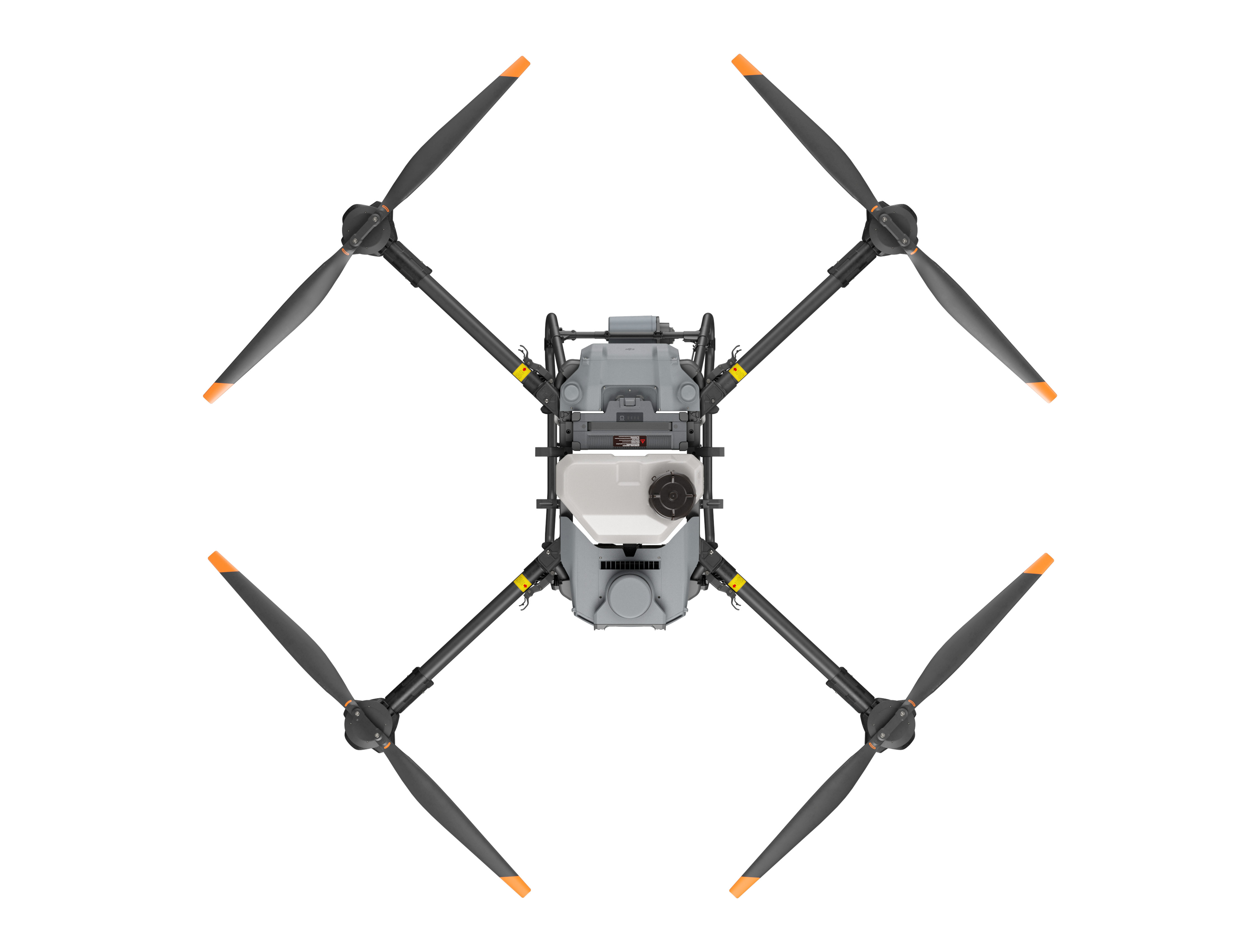T25P image 5